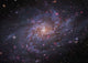 Messier 33 Spiral Galaxy Wall Decal