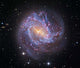Messier 83 Southern Pinwheel Wall Decal