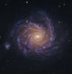 Ngc 1232 Spiral Galaxy Wall Decal