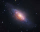 Ngc 3521 Spiral Galaxy Wall Decal