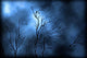 Illustration Severe Storm Wall Decal