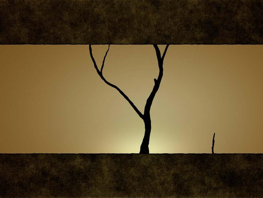 Illustration Tree against Sunset Wall Decal