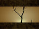 Illustration Tree against Sunset Wall Decal