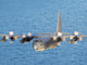 Mc-130p Combat Shadow Flight Wall Decal Design 2