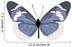 Blue and White Butterfly Wall Decal