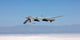 Mq-1 Predator Flies Training Wall Decal Design 1