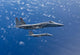Two F-15 Eagles Flies Wall Decal