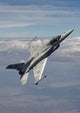 F-16e Maneuvers during Training Wall Decal