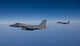 Two F-15 Eagles Fly Wall Decal Design 8