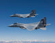 Two F-15 Eagles Conduct Wall Decal Design 2