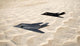 Two F-117 Nighthawk Stealth Wall Decal Design 2