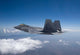 F-22 Raptor Flies around Wall Decal Design 2