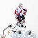 Hockey Wall Decal