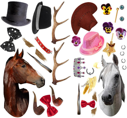Horsin around Taxiderpy Set Wall Decal Stickers Wall Decal
