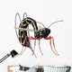 Wasp Wall Decal