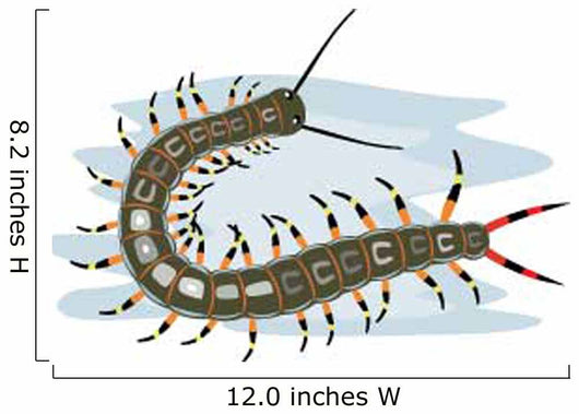 Centipede Wall Decal