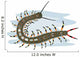 Centipede Wall Decal