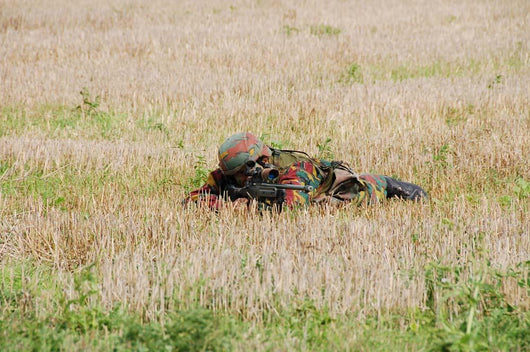 Belgian Paratroopers Guard Fields Wall Decal