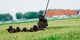 Belgian Para Commandos Entering Scene Wall Decal Design 3