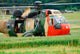 Sea King Helicopter Belgian Wall Decal Design 1