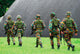 Soldiers Belgian Army during Wall Decal