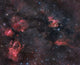 Nebulosity Cepheus Constellation Wall Decal