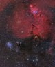 Beautiful Nebula Monoceros Wall Decal