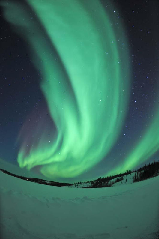 Aurora Borealis over Prosperous Wall Decal