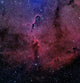 Elephant Trunk Nebula Wall Decal