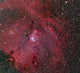 Ngc 2264 Cone and Wall Decal