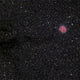 Cocoon Nebula Wall Decal Design 1