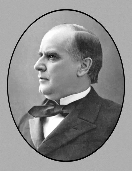 Vector Portrait President William Wall Decal Design 1