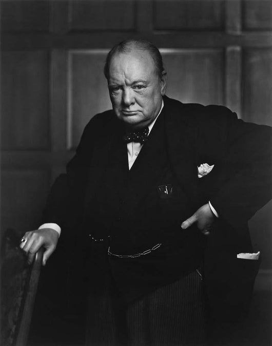 Digitally Restored Portrait Sir Wall Decal