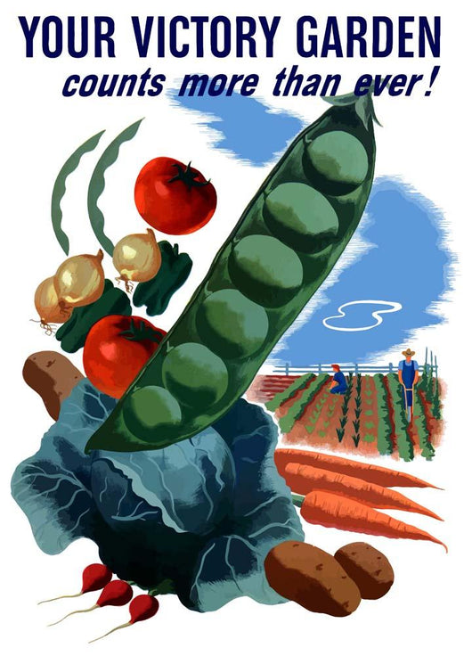 Vintage World War Ii Wall Decal Design 63
