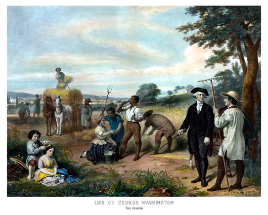 Vintage American History Print Wall Decal Design 17