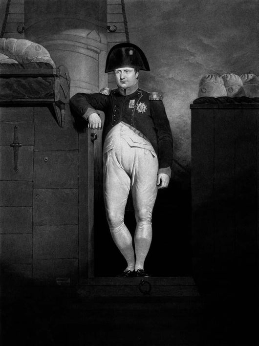 Vintage History Print Napoleon Wall Decal