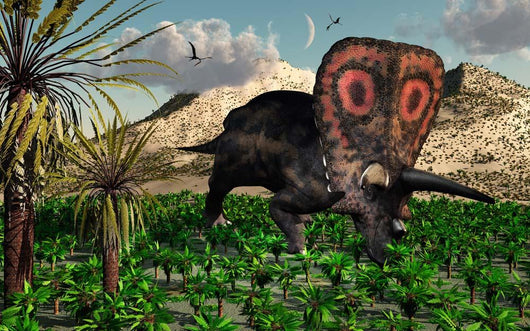 Lone Torosaurus Dinosaur Feeding Wall Decal Design 2