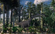 Young Diplodocus Dinosaur Feeding Wall Decal