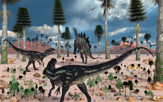 Pair Allosaurus Dinosaurs Confront Wall Decal
