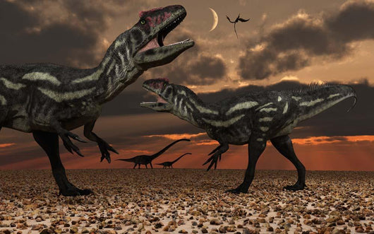 Allosaurus Dinosaurs Stalk Their Wall Decal