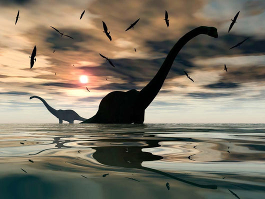 Diplodocus Dinosaurs Bathe Large Wall Decal Design 4