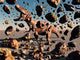 Powerful T-rex Shatters Its Wall Decal