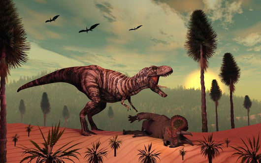 Triceratops Falls Victim to Wall Decal