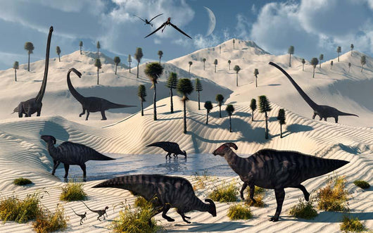 Dinosaurs Gather Life Saving Wall Decal