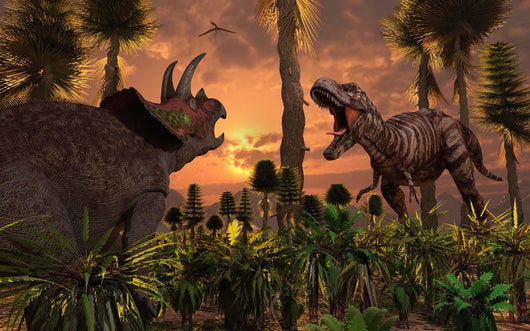 Tyrannosaurus Rex and Triceratops Wall Decal
