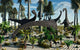 Herd Diplodocus Dinosaurs Feeding Wall Decal