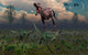 Two Lesothosaurus Dinosaurs Run Wall Decal