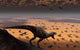 Lone T Rex Looks Wall Decal