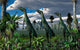 Group Lesothosaurus Dinosaurs Lookout Wall Decal