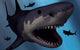 Megalodon Shark from Cenozoic Wall Decal